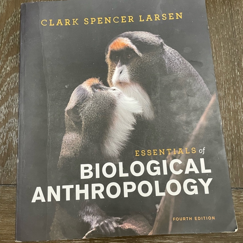 Essentials of Biological Anthropology fourth edition by Clark Spencer book
